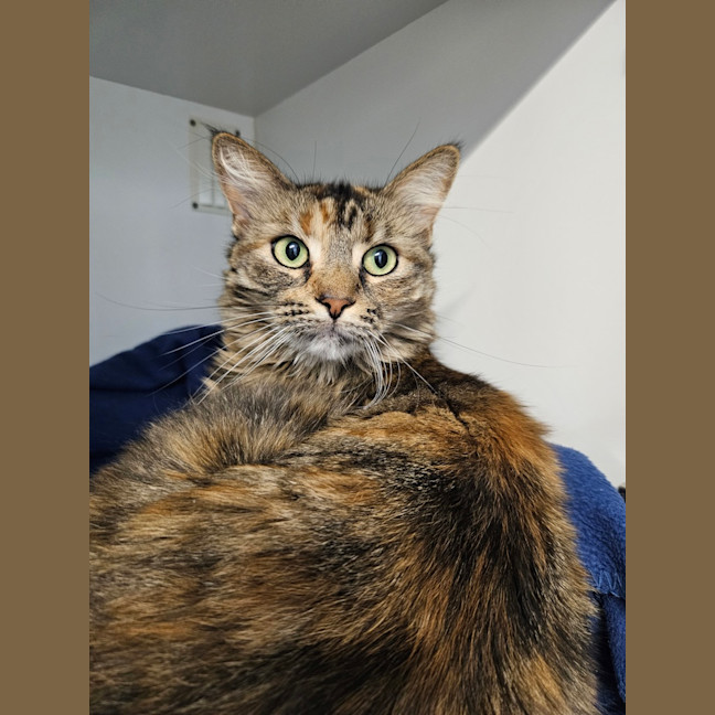 Photo of Gigi