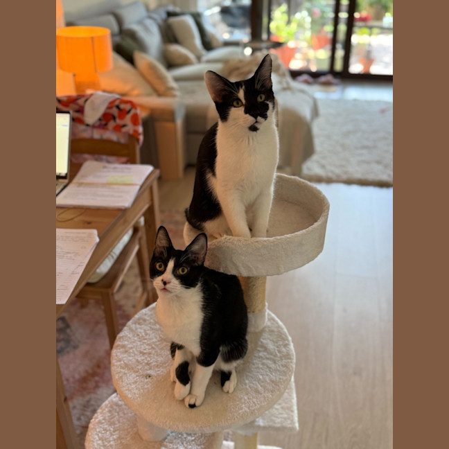 Photo of Buster & Harry