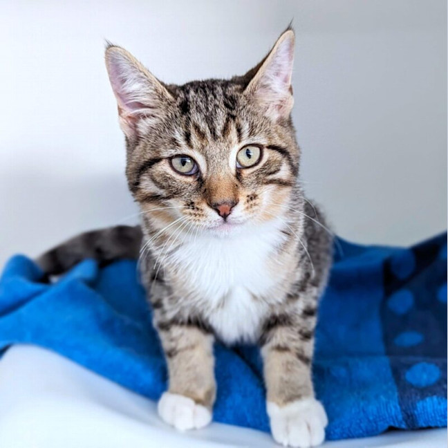 Photo of Luna