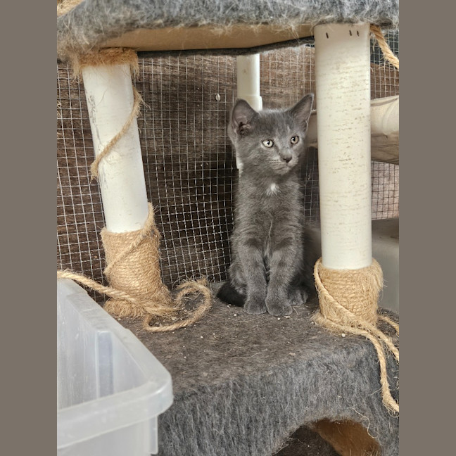 Photo of Selina
