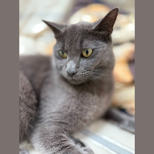 Photo of Luen (9019)