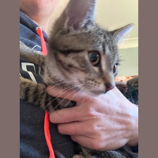 Photo of Spencer 🐱 