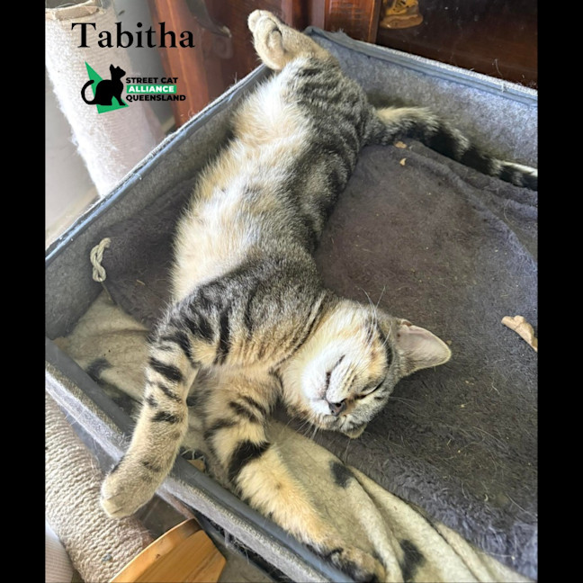 Photo of Tabitha