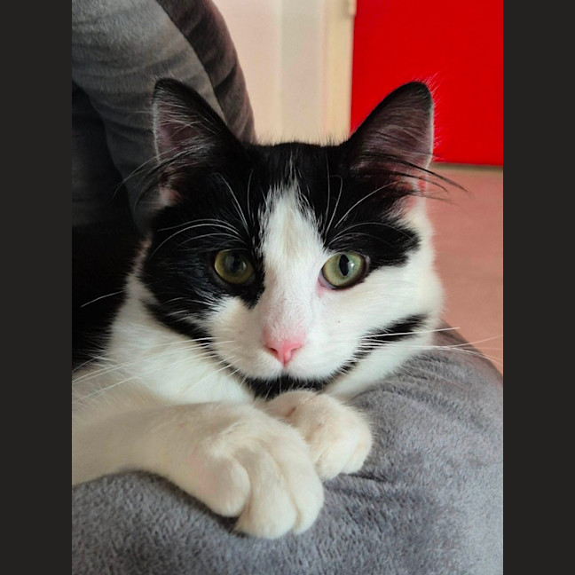 Photo of Lola