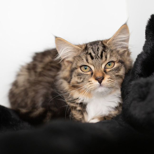 Photo of Tabitha