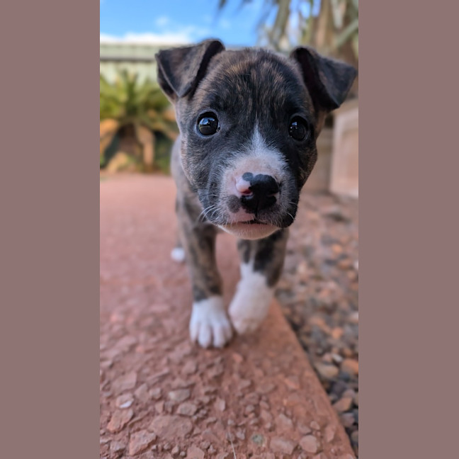 Photo of Jive