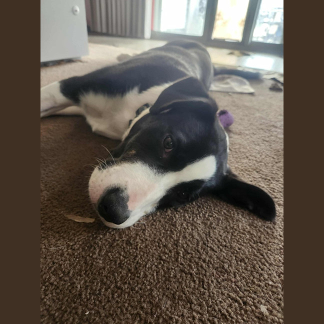 Photo of Maynard