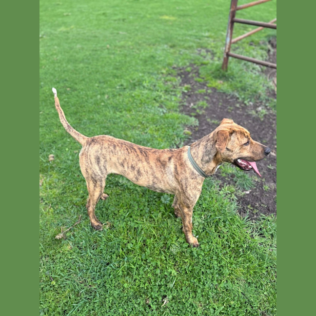 Photo of Spike