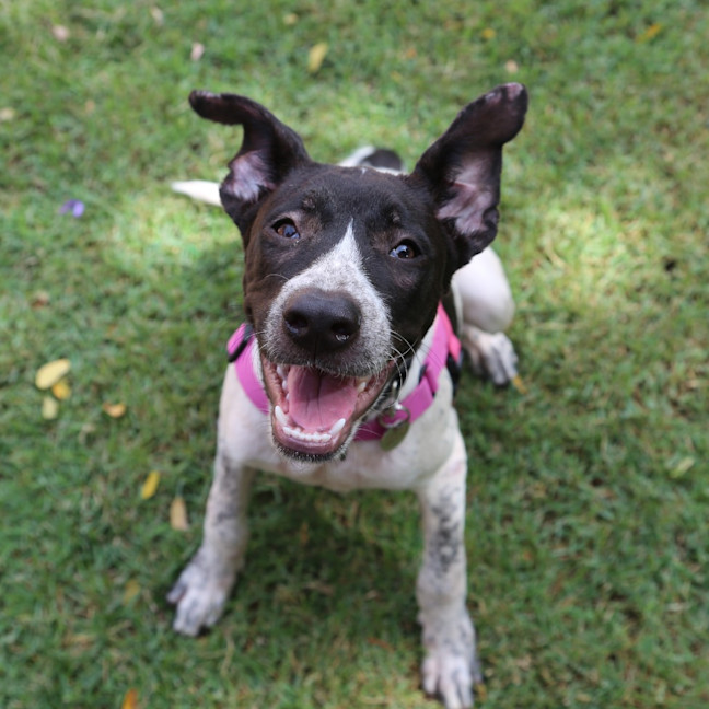 Photo of Lyka