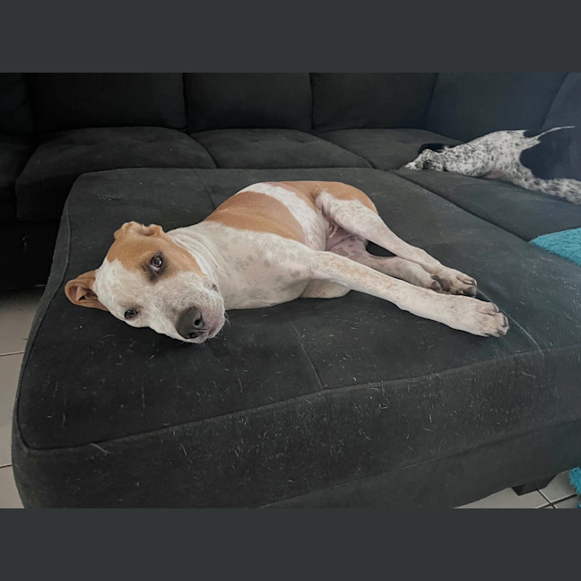 Photo of Charlie (P11)