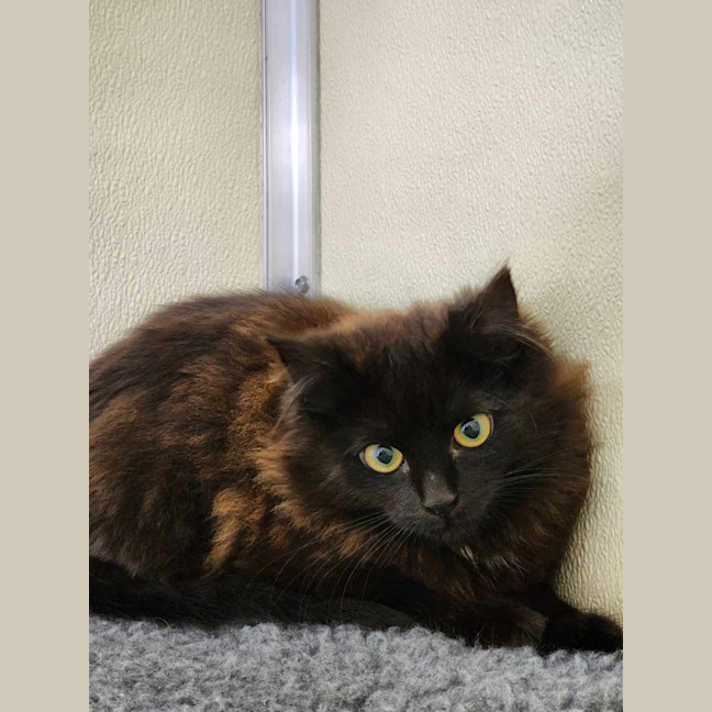 Photo of 🍫 Malteaser 5469 🍫