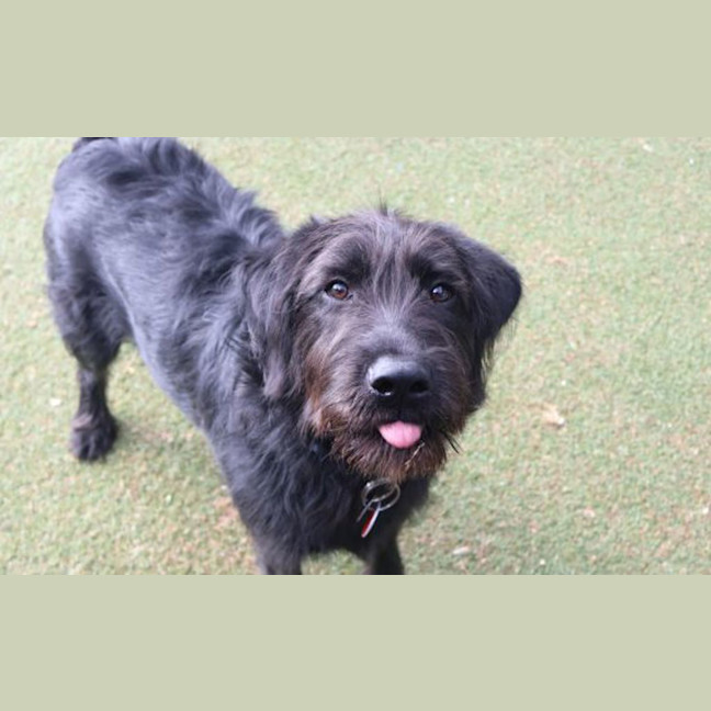 Photo of Otto