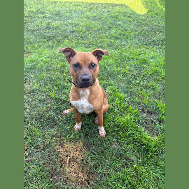 Photo of Lulu