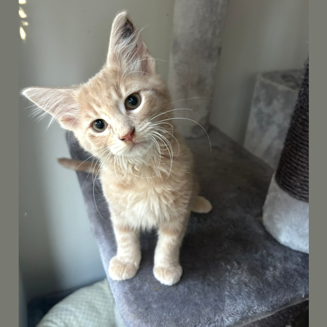 Photo of Passionfruit 