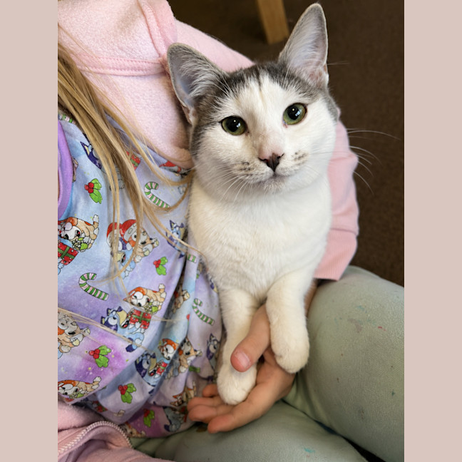 Photo of Annie