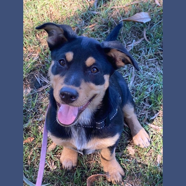 Photo of Stormy