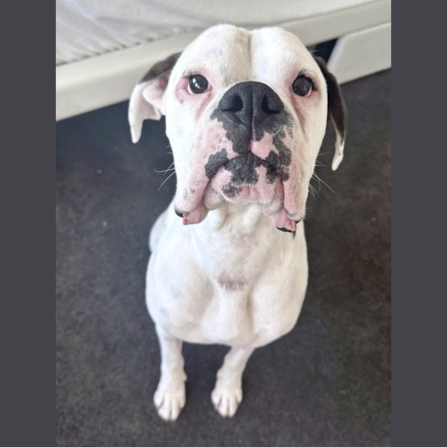 Photo of Rico And Mamacita