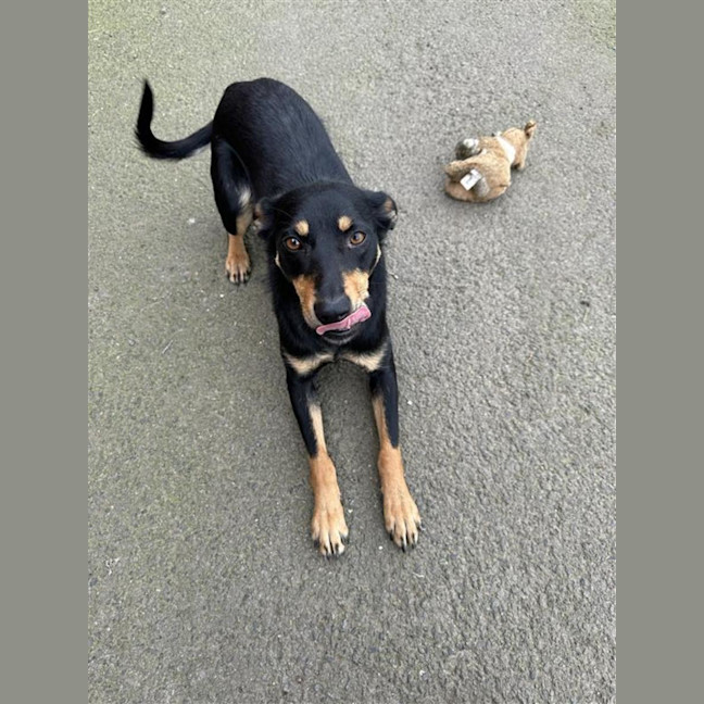 Photo of Tilly