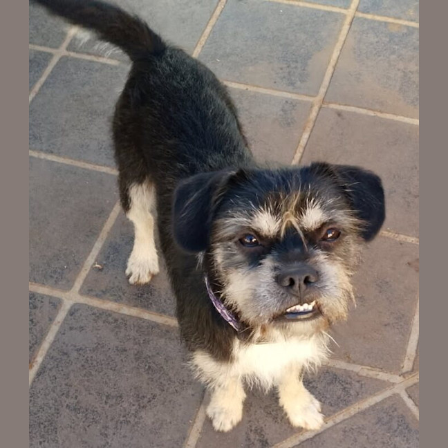 Photo of Murphy