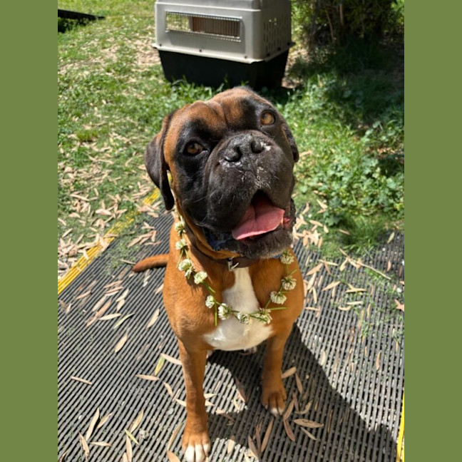 Photo of Tyson