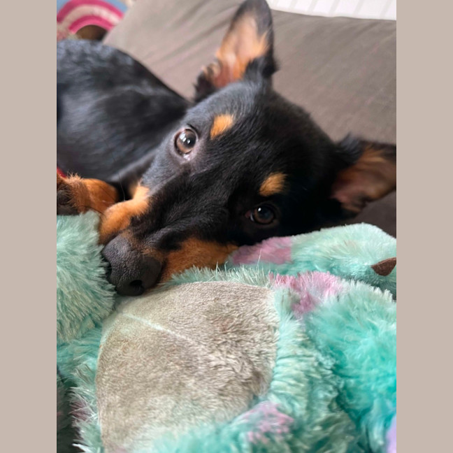 Photo of Hazel