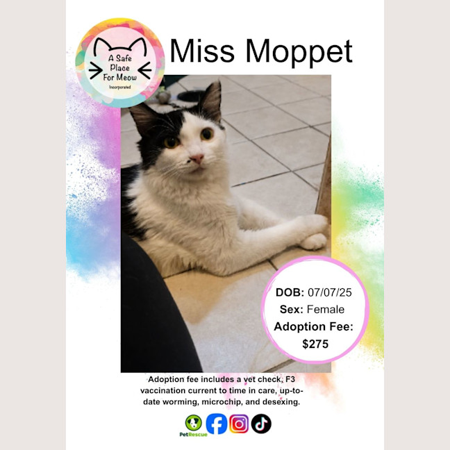 Photo of Miss Moppet