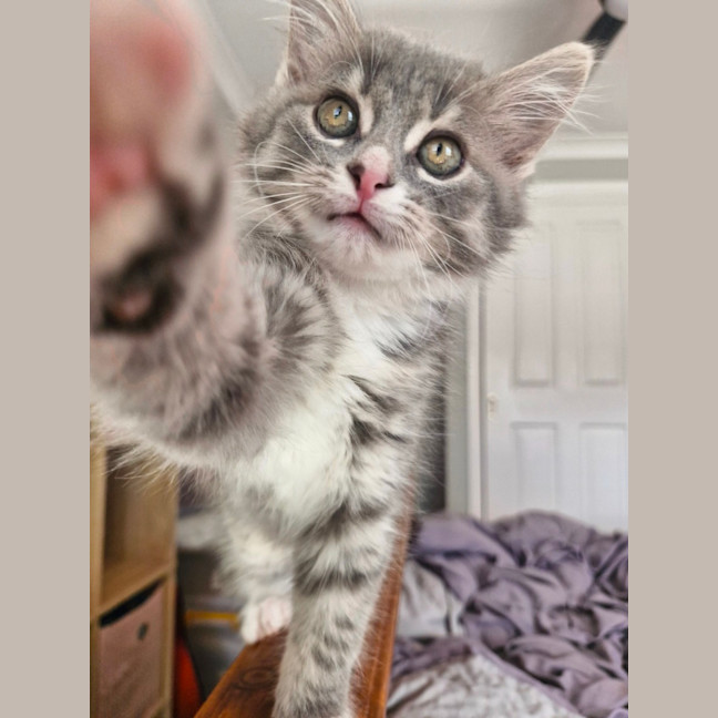 Photo of Tasha