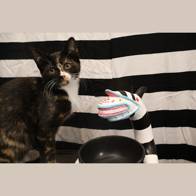 Photo of Lydia