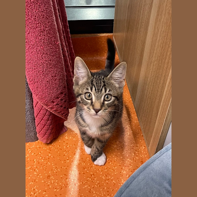 Photo of Ernie