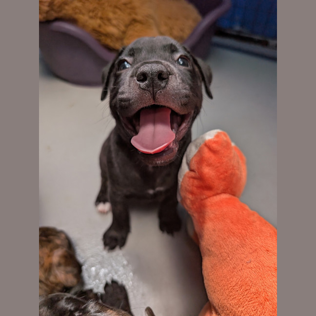Photo of Zeus