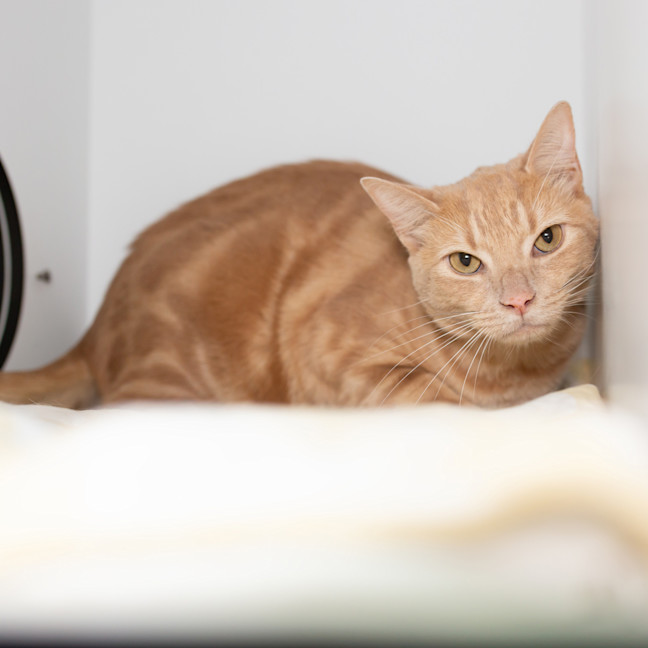 Photo of Bob