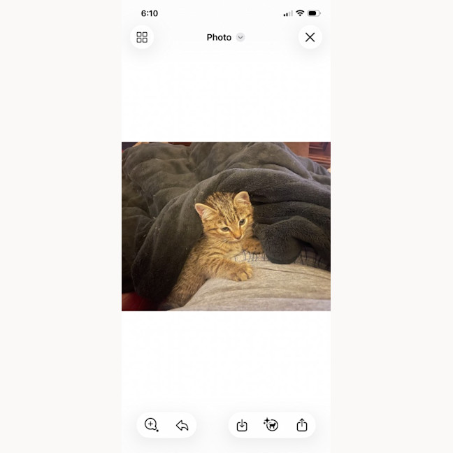 Photo of Fleur
