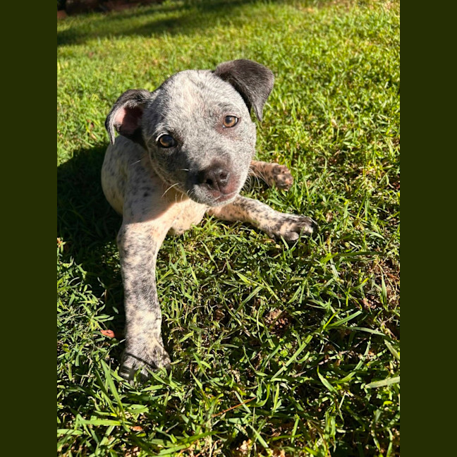 Photo of Sally