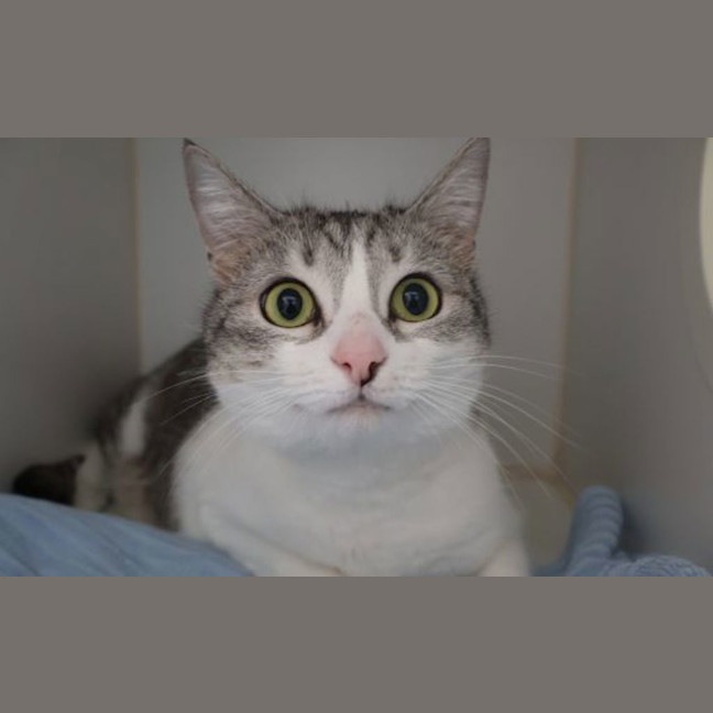 Photo of Belle