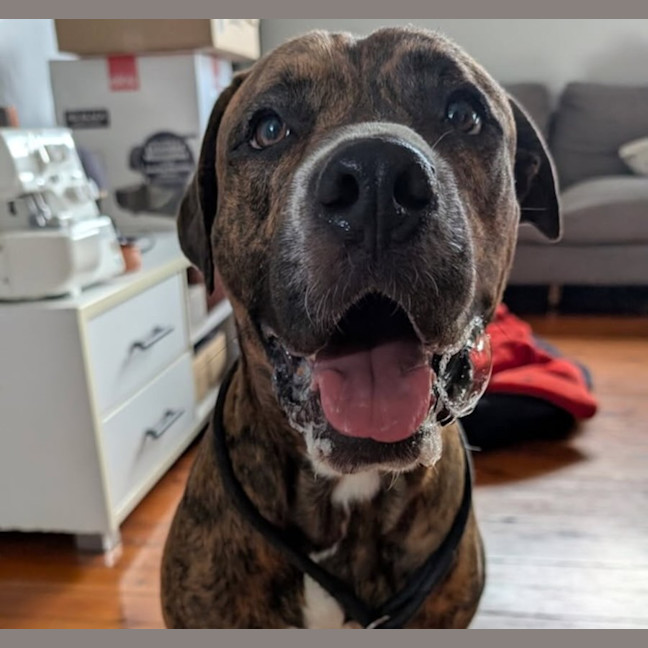 Photo of Baz