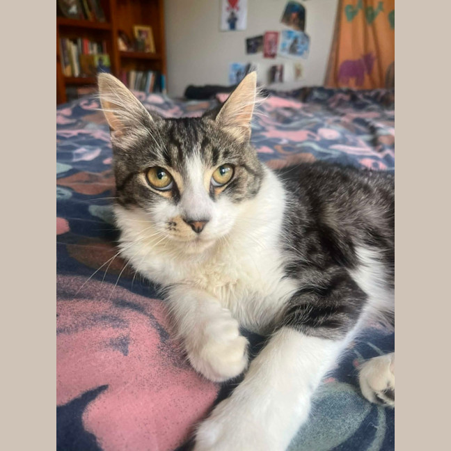 Photo of Sage