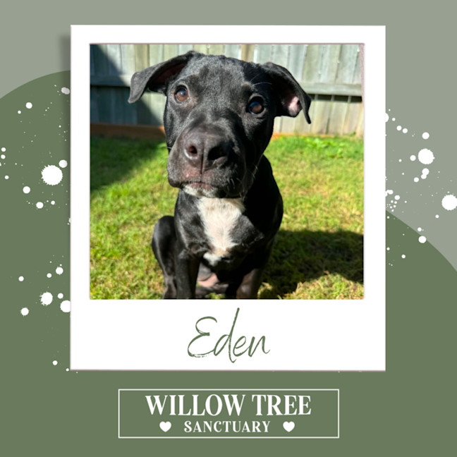Photo of Eden