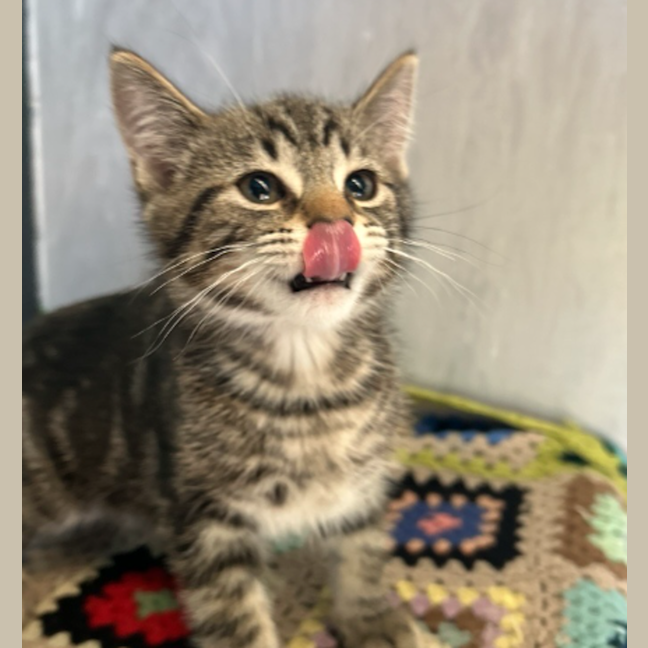Photo of Mr. Squiggle