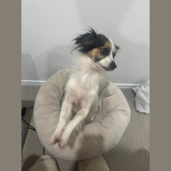 Photo of Po