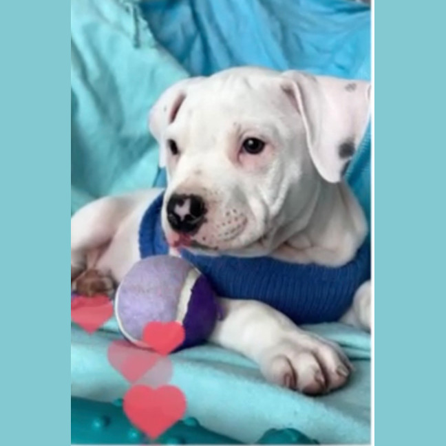 Photo of Cash