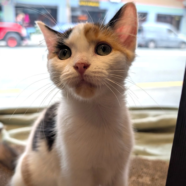 Photo of Baby Stinky