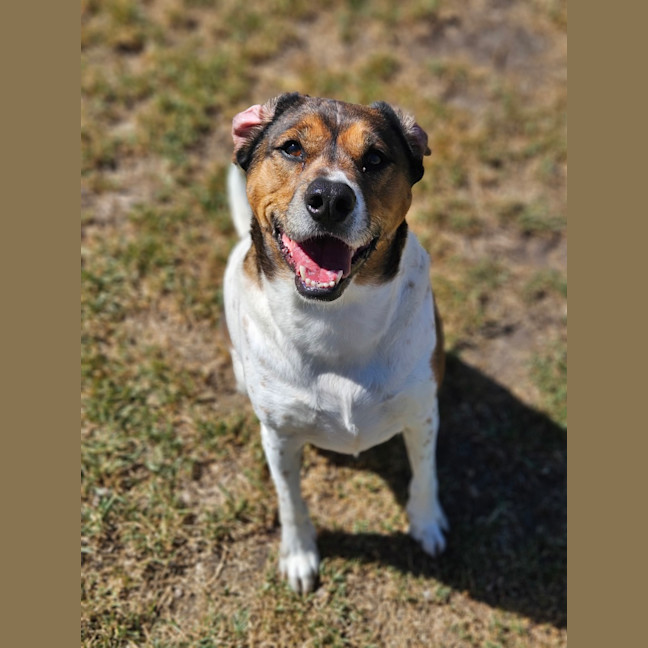 Photo of Hunter