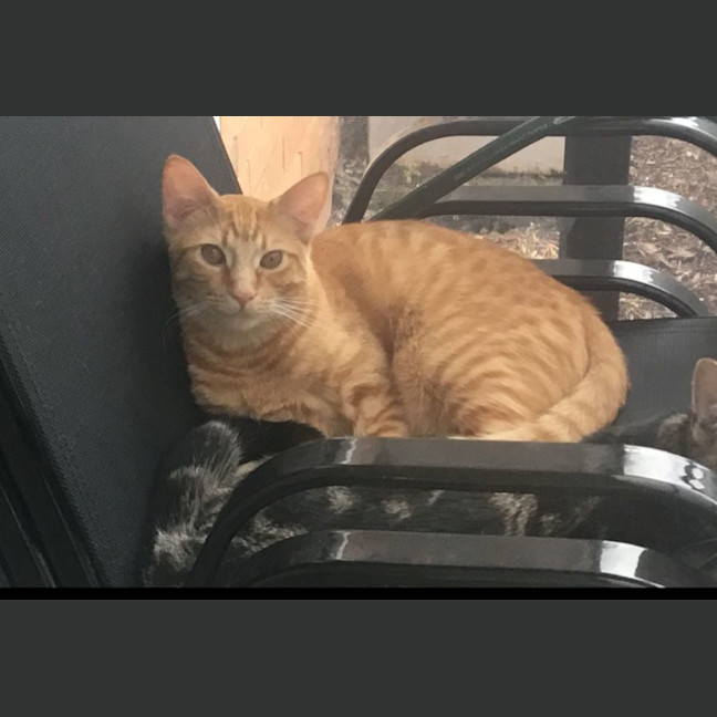 Photo of George