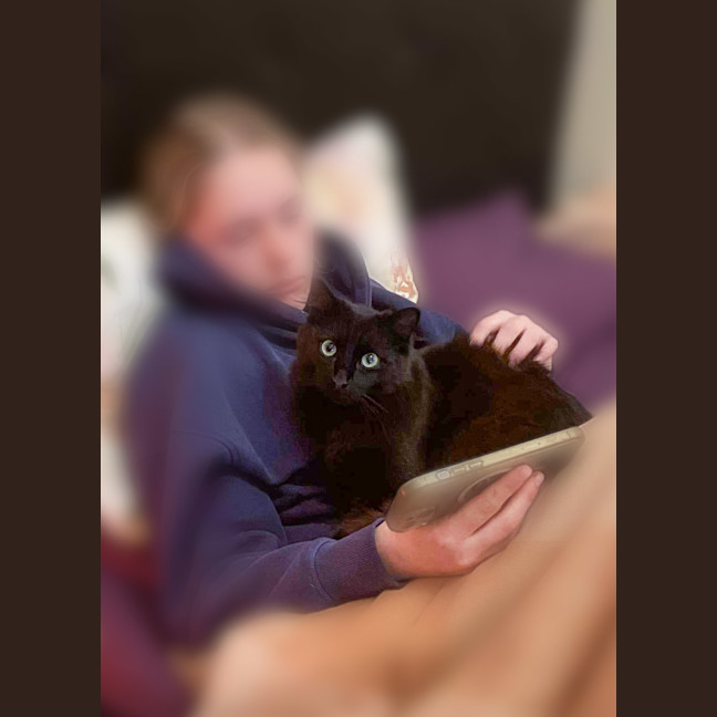 Photo of Louie 