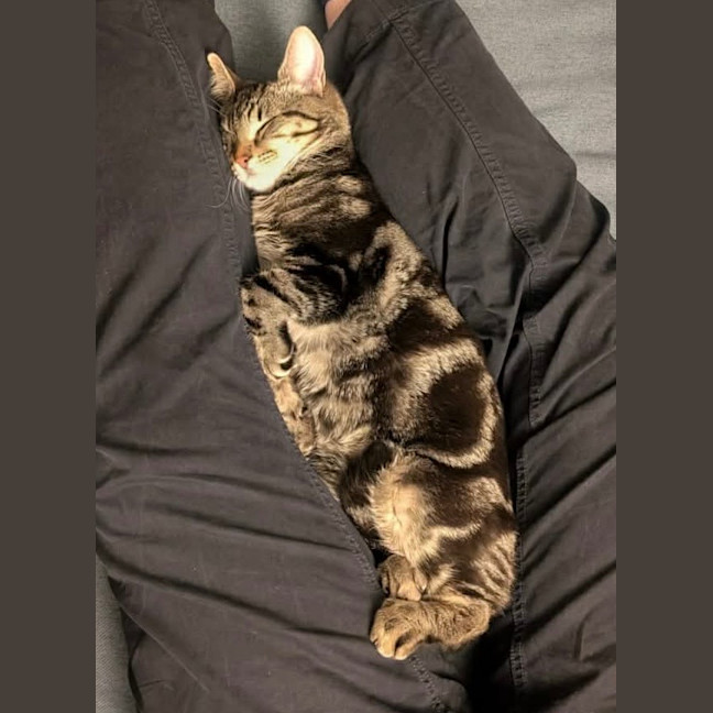 Photo of Stout