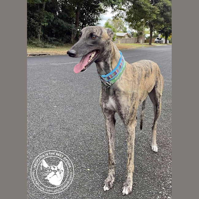 Photo of Meg (Little Meg)