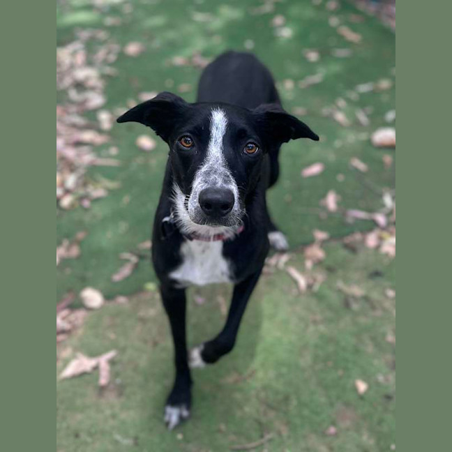 Photo of Missy