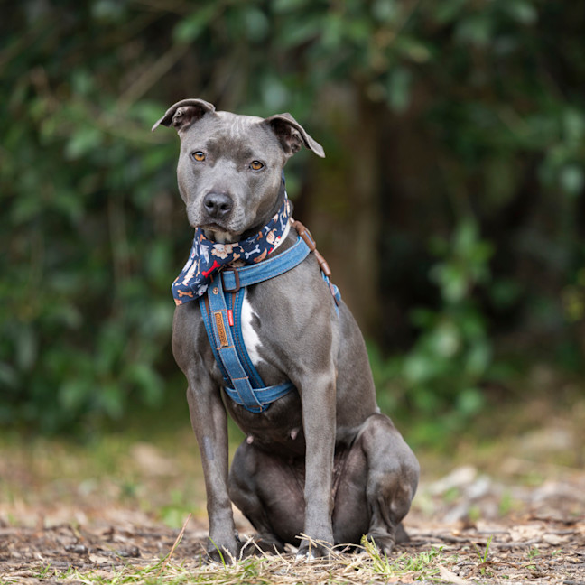 Photo of Lella