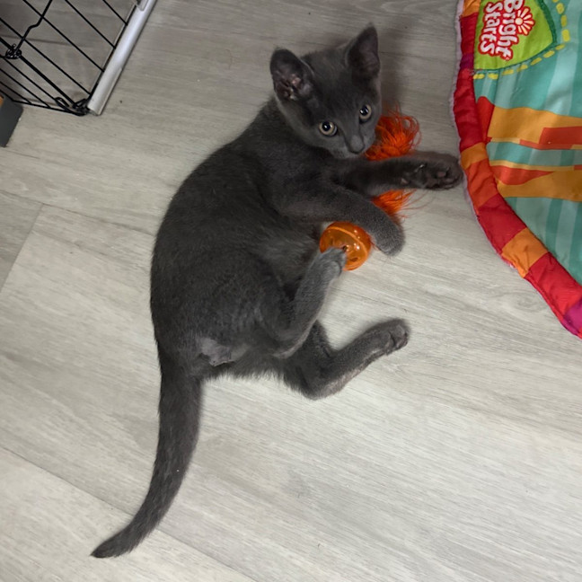 Photo of Kai