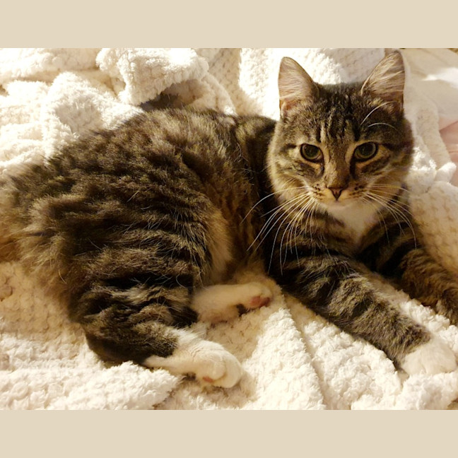 Photo of Rocky